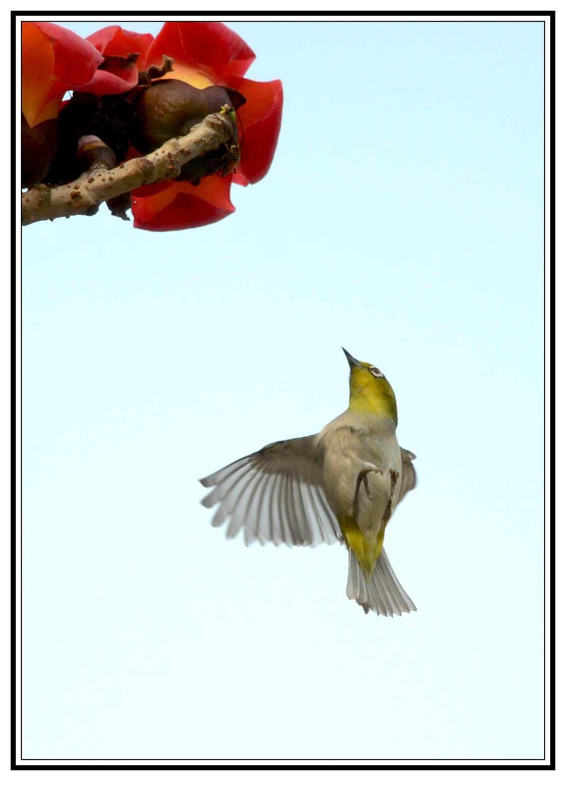 DSC_0588_conew1.jpg