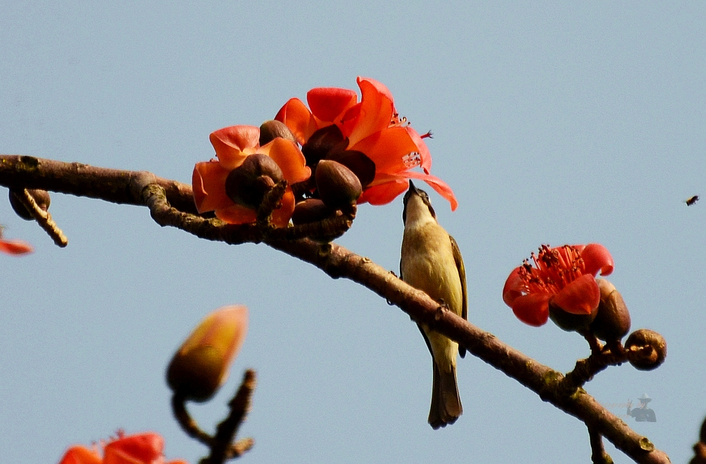 DSC_0760.JPG