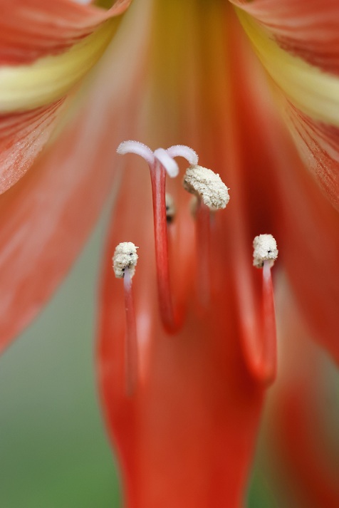 DSC_8688.jpg