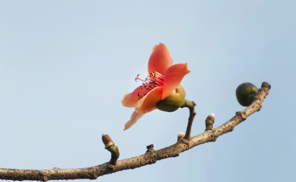 QQͼƬ20140414152512.jpg
