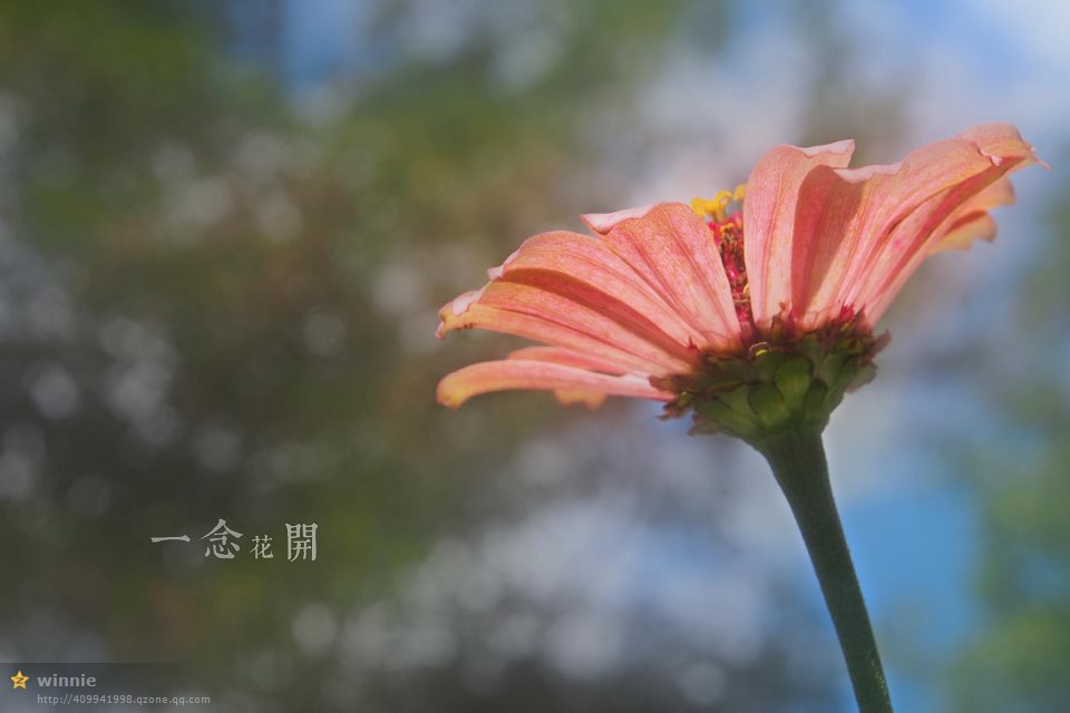 1119.jpg