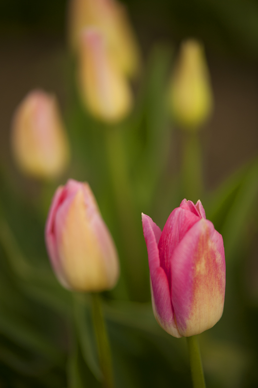 301_4460aa.jpg