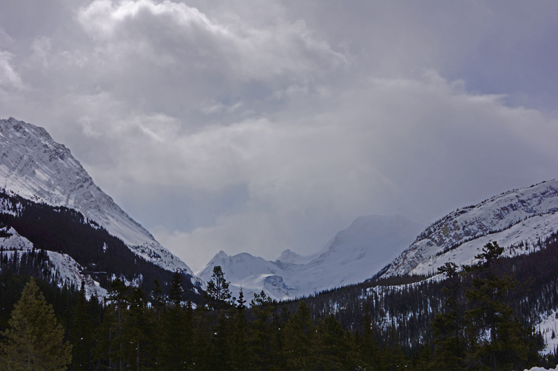 DSC04618aa.jpg