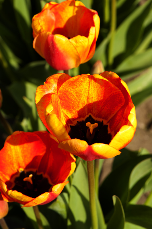 301_4511aa.jpg
