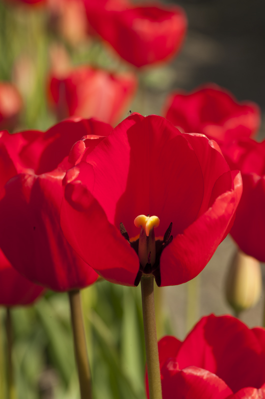 301_4504aa.jpg