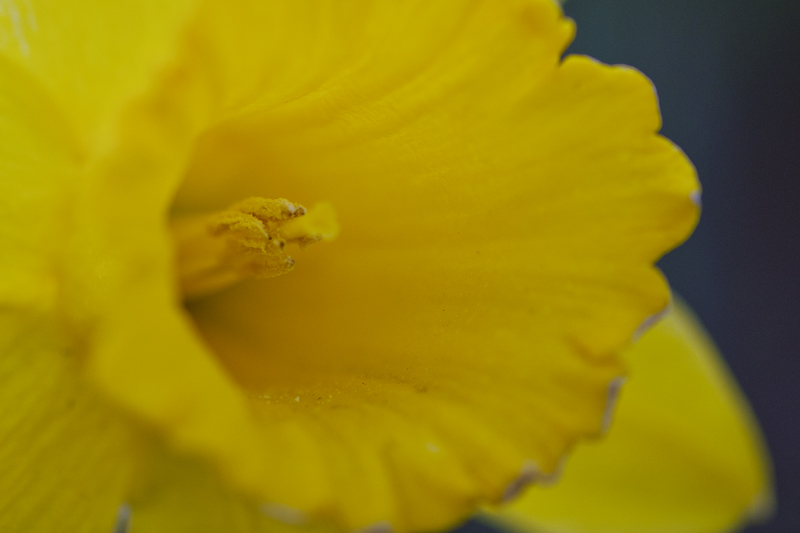 301_4439aa.jpg