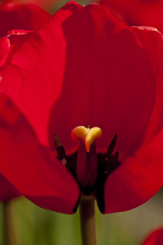 301_4510aa.jpg