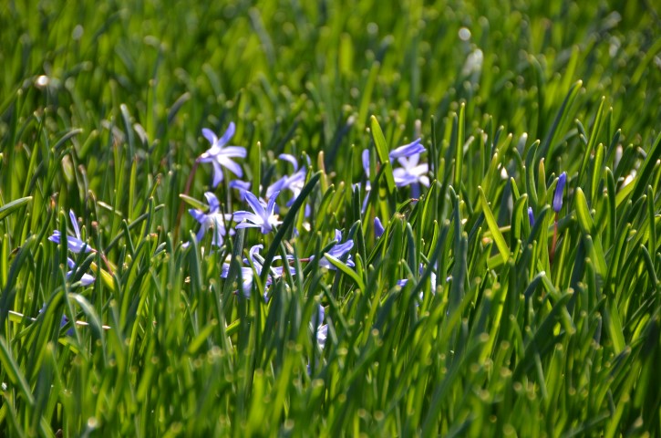 DSC_4002 (Small).JPG