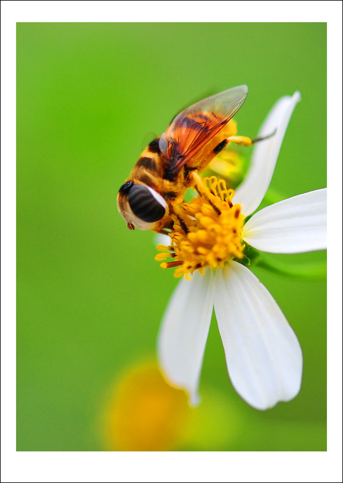 DSC_9422_conew1.jpg