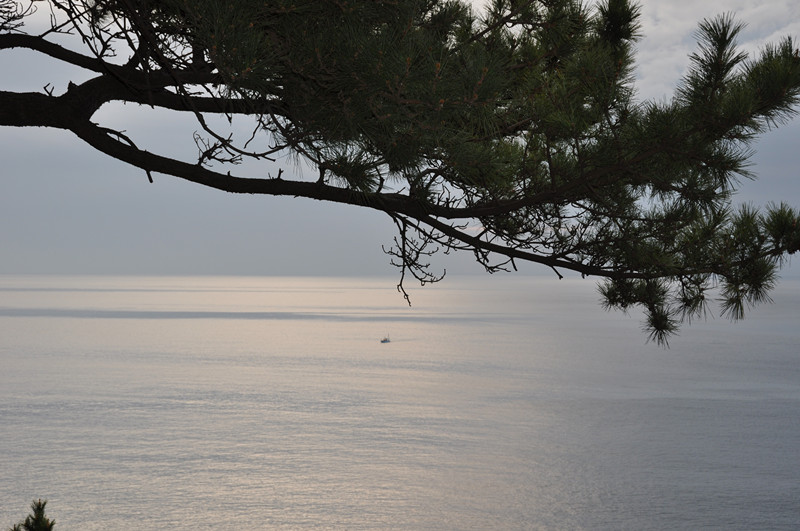 japan&nbsp;&nbsp;travel&nbsp;&nbsp;2010 089_.jpg