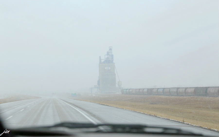 IMG_4538=.jpg