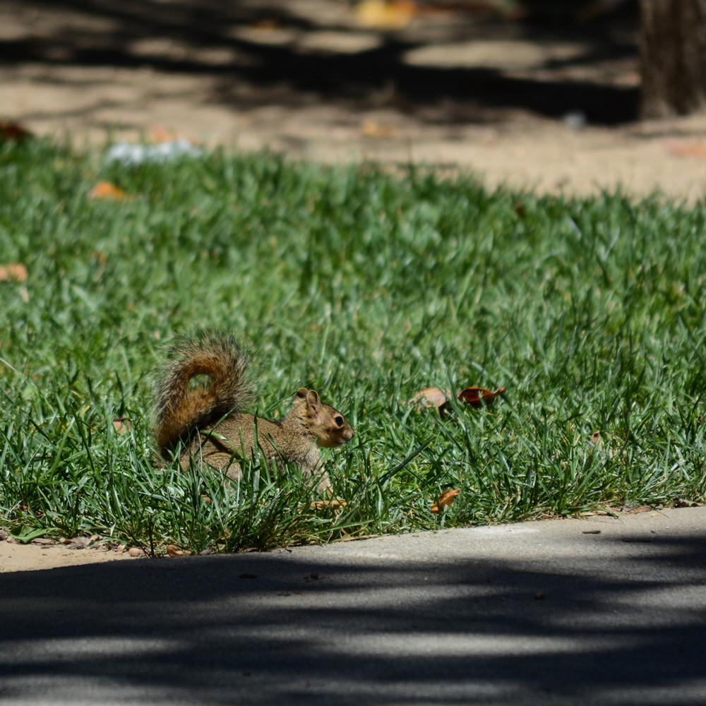 DSC_4132_30.jpg