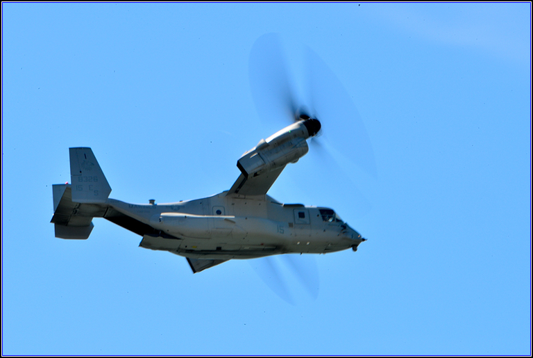 DSC_3911.jpg