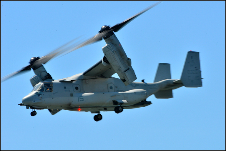 DSC_3939.jpg