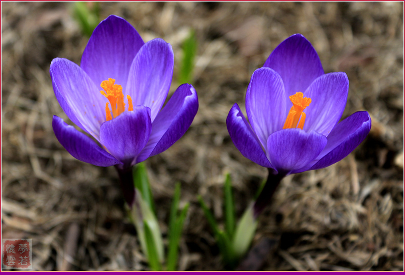 20140422 003_.jpg