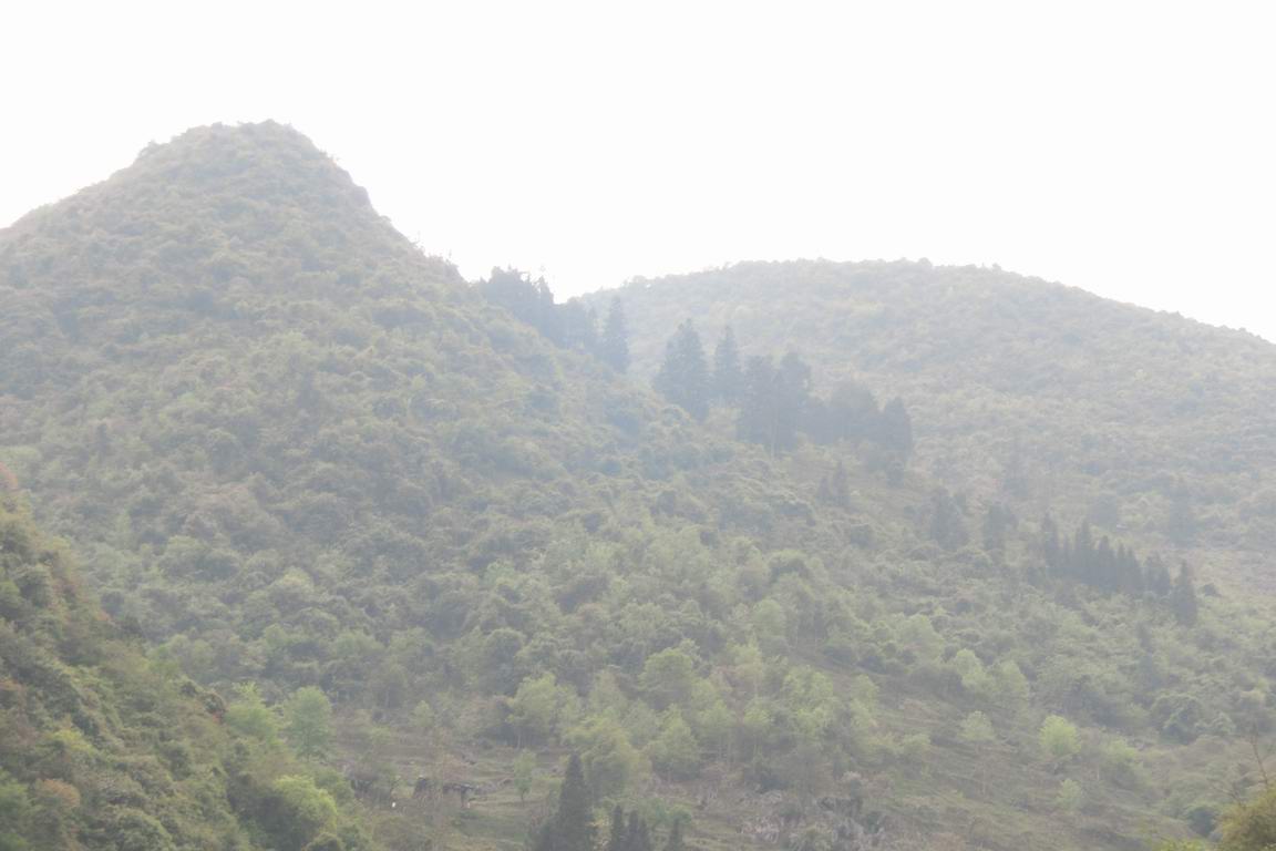 CIMG0649.JPG