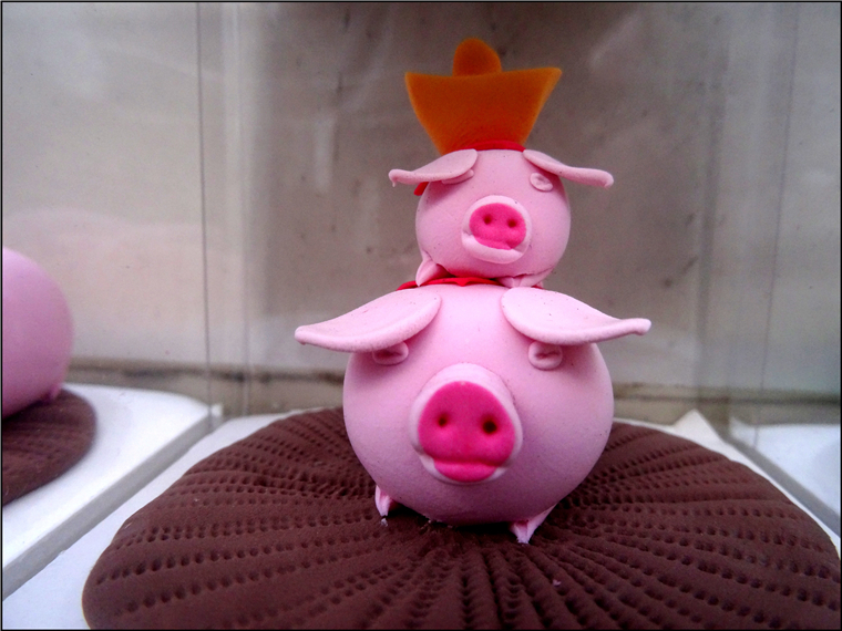 DSC05303_conew1_.jpg