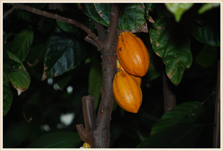 DSC_0377.jpg