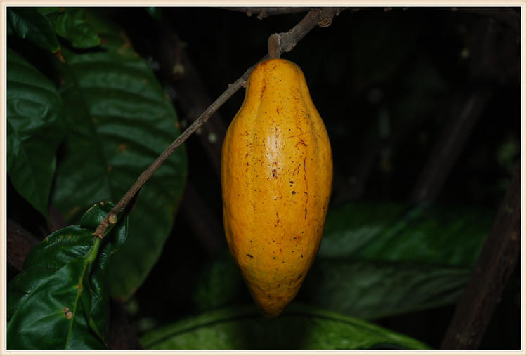 DSC_0389.jpg