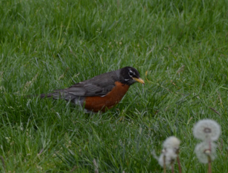 DSC_1258.JPG
