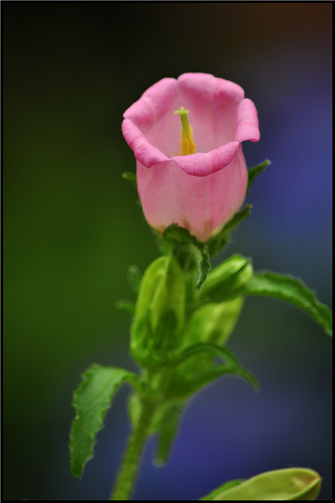 DSC_0798.jpg
