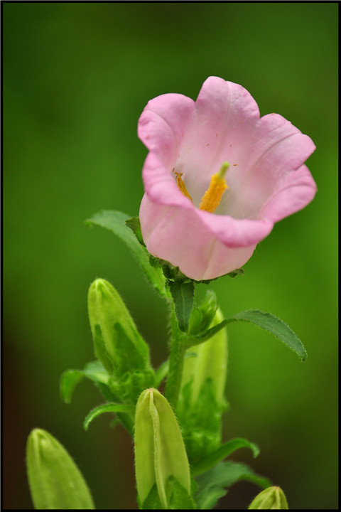 DSC_0796.jpg