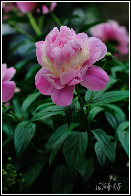DSC_1578.jpg