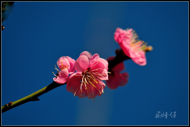 DSC_4352.jpg