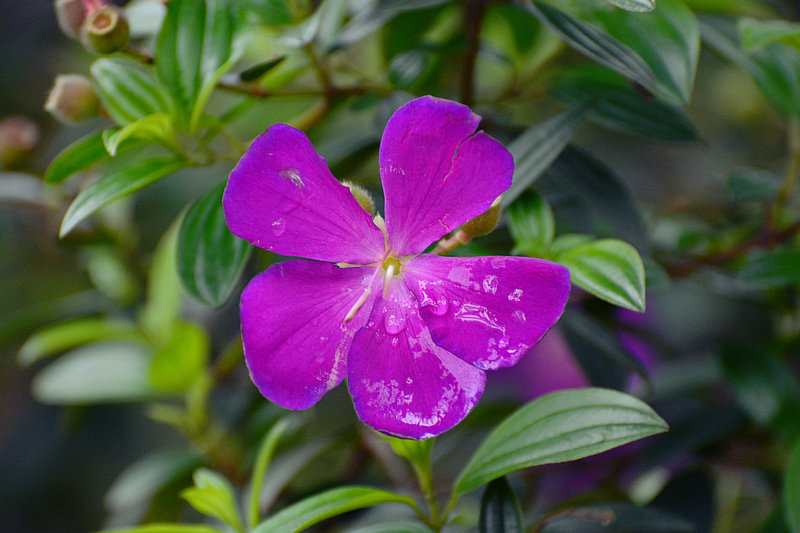 DSC_5776.JPG