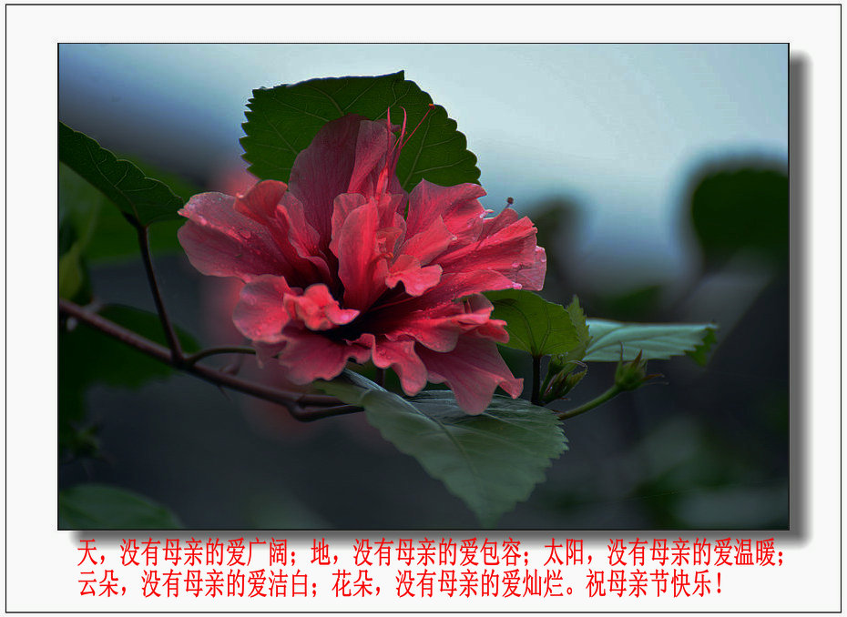 DSC_6112_1.jpg