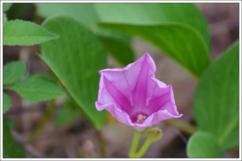 DSC_5906.JPG