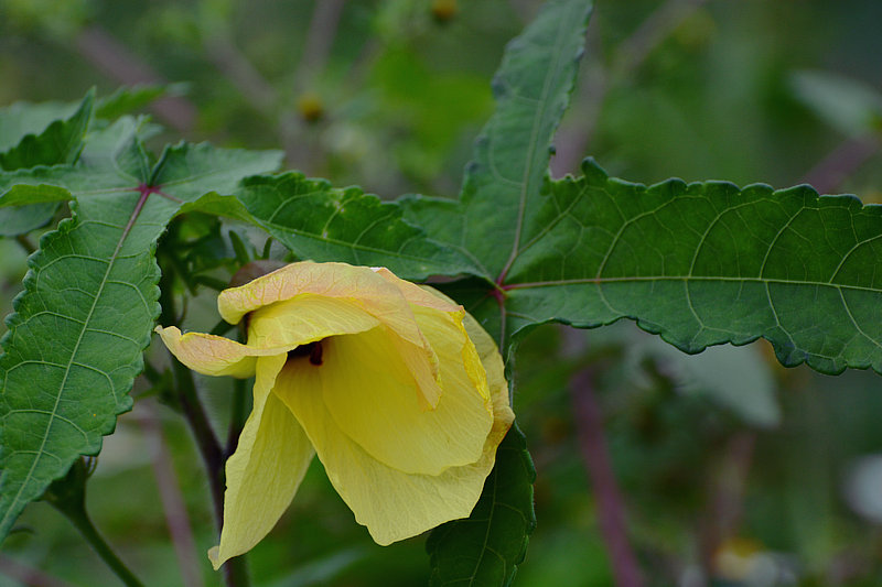 DSC_5920.JPG