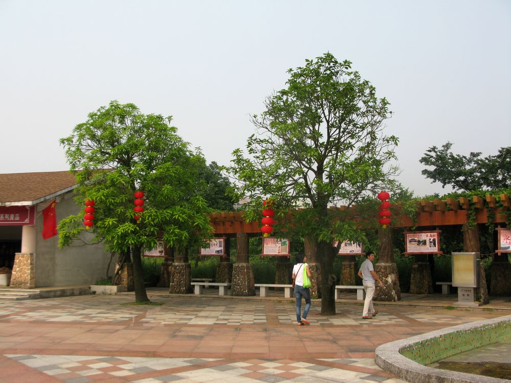 IMG_4428.jpg