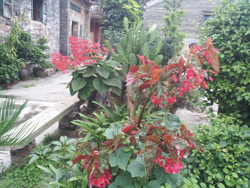 conew_2014-05-18 17.28.36.jpg