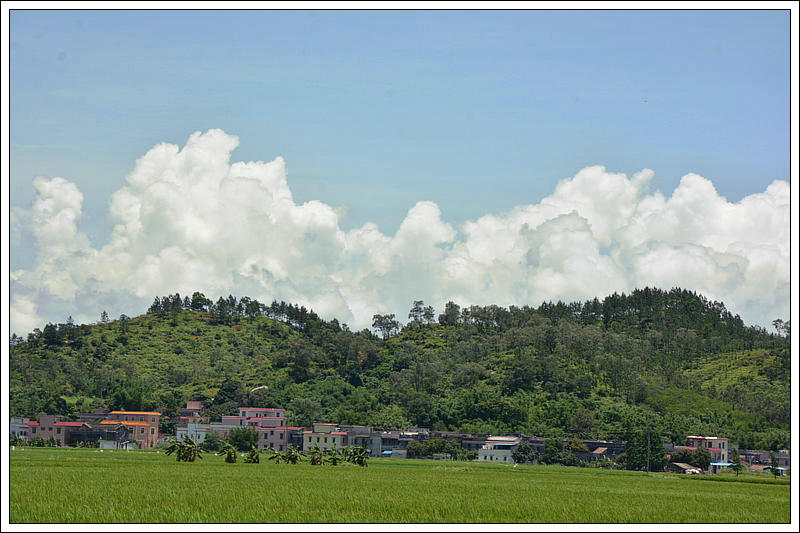 DSC_6972_1.JPG