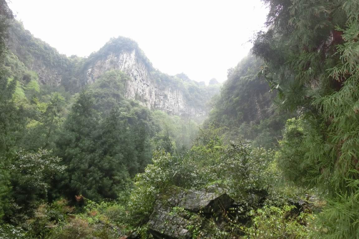 CIMG0333.JPG