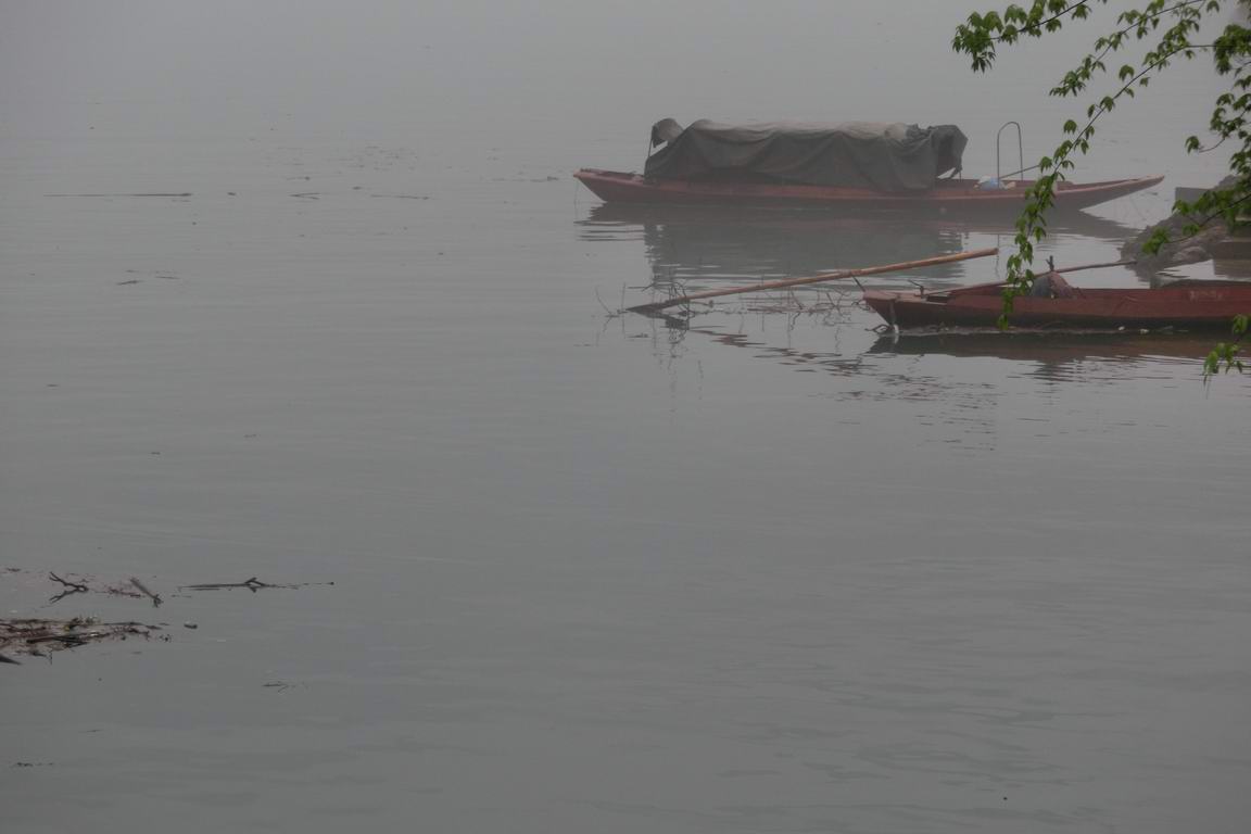 CIMG0567.JPG