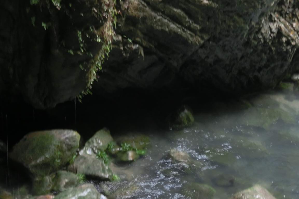 CIMG0470.JPG
