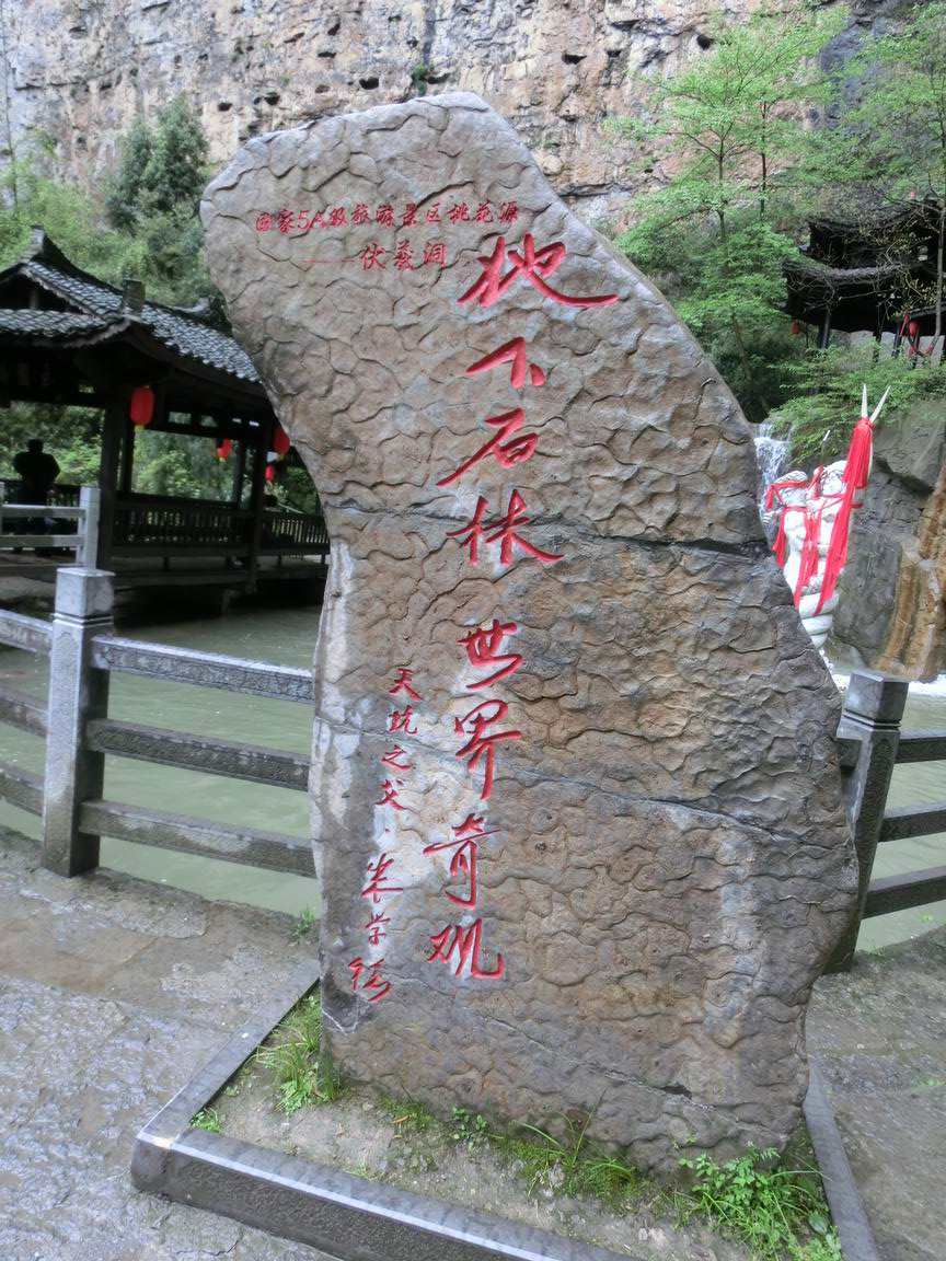 CIMG0798.JPG