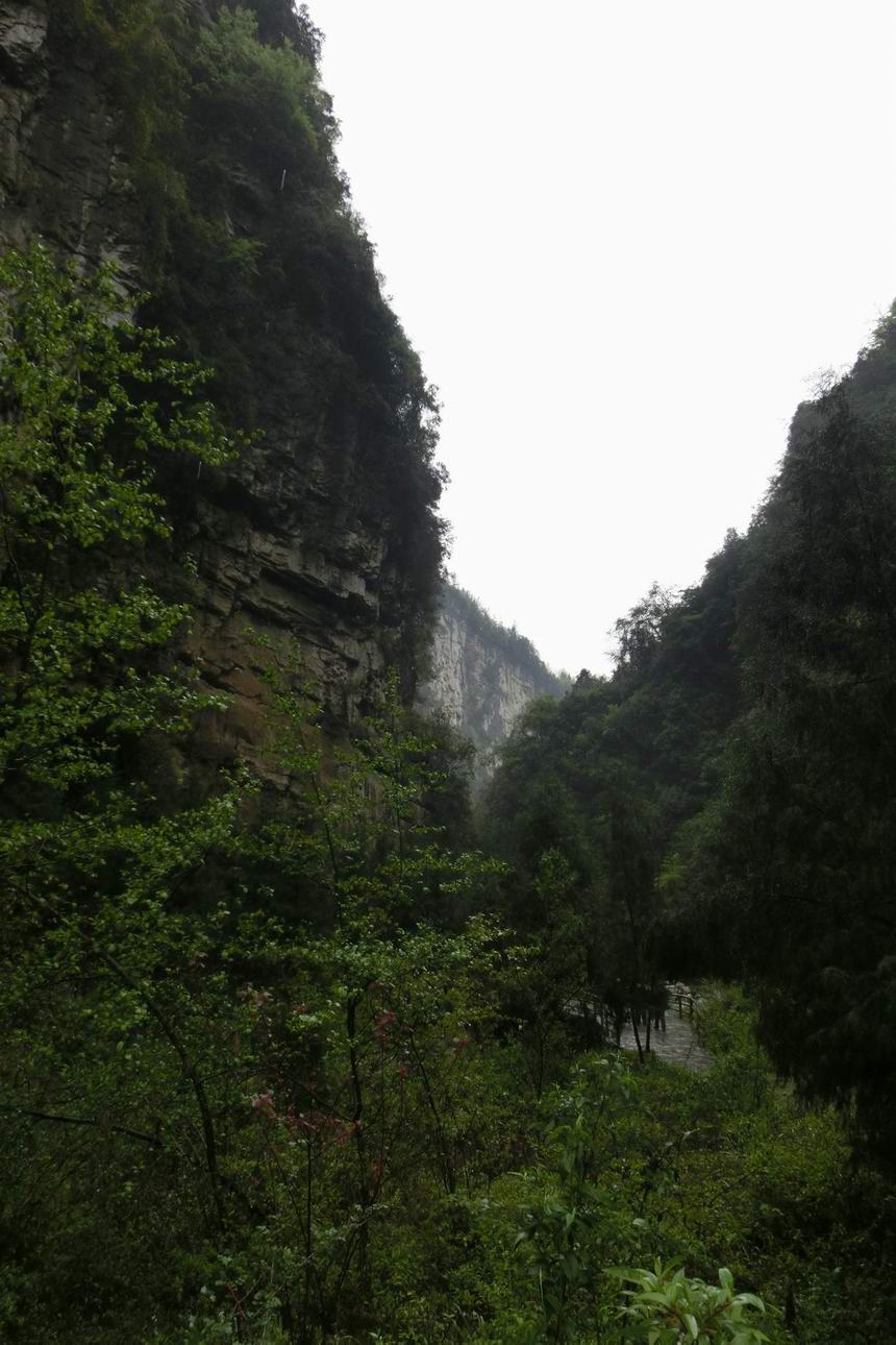 CIMG0344.JPG