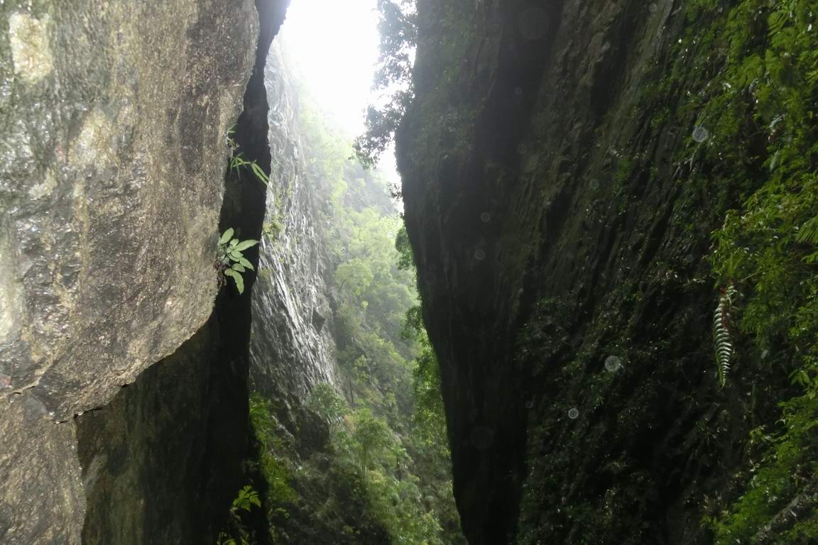 CIMG0467.JPG