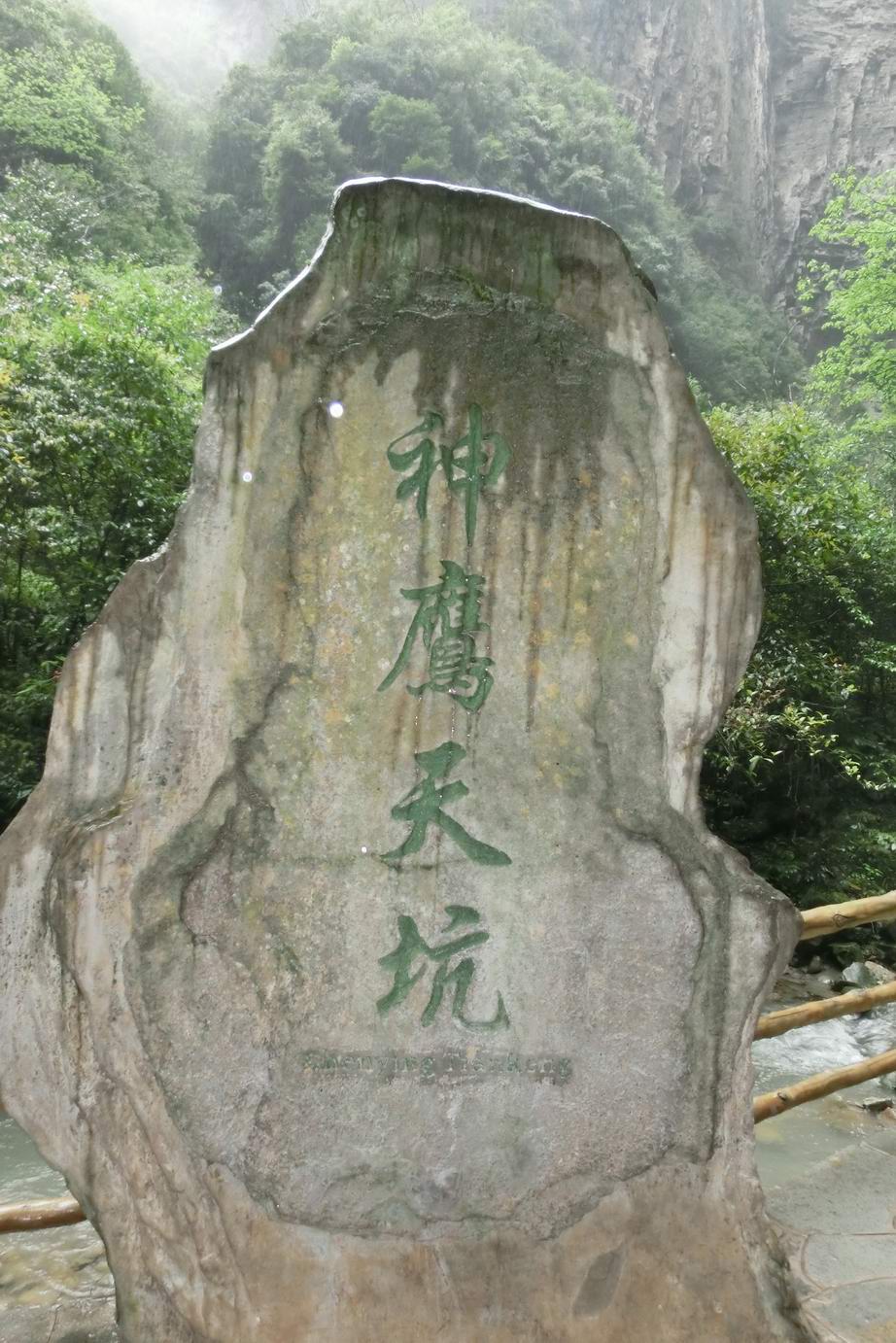 CIMG0484.JPG
