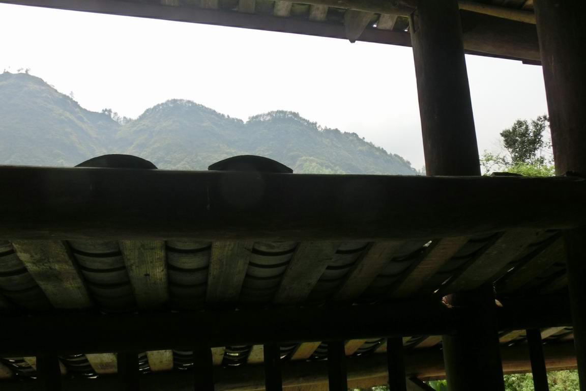 CIMG0694.JPG