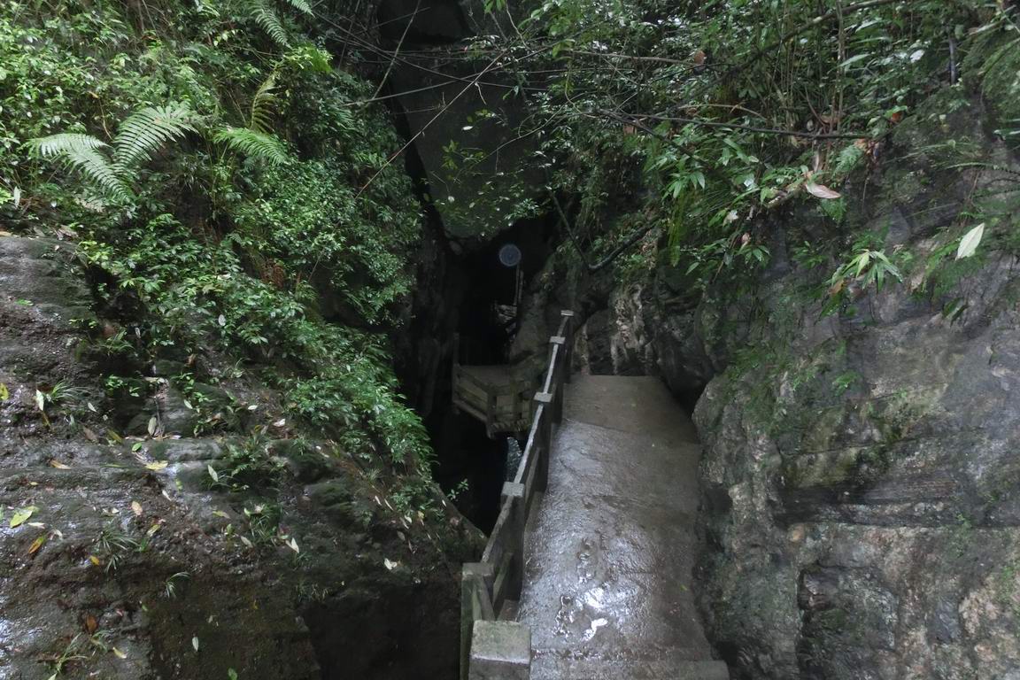 CIMG0474.JPG