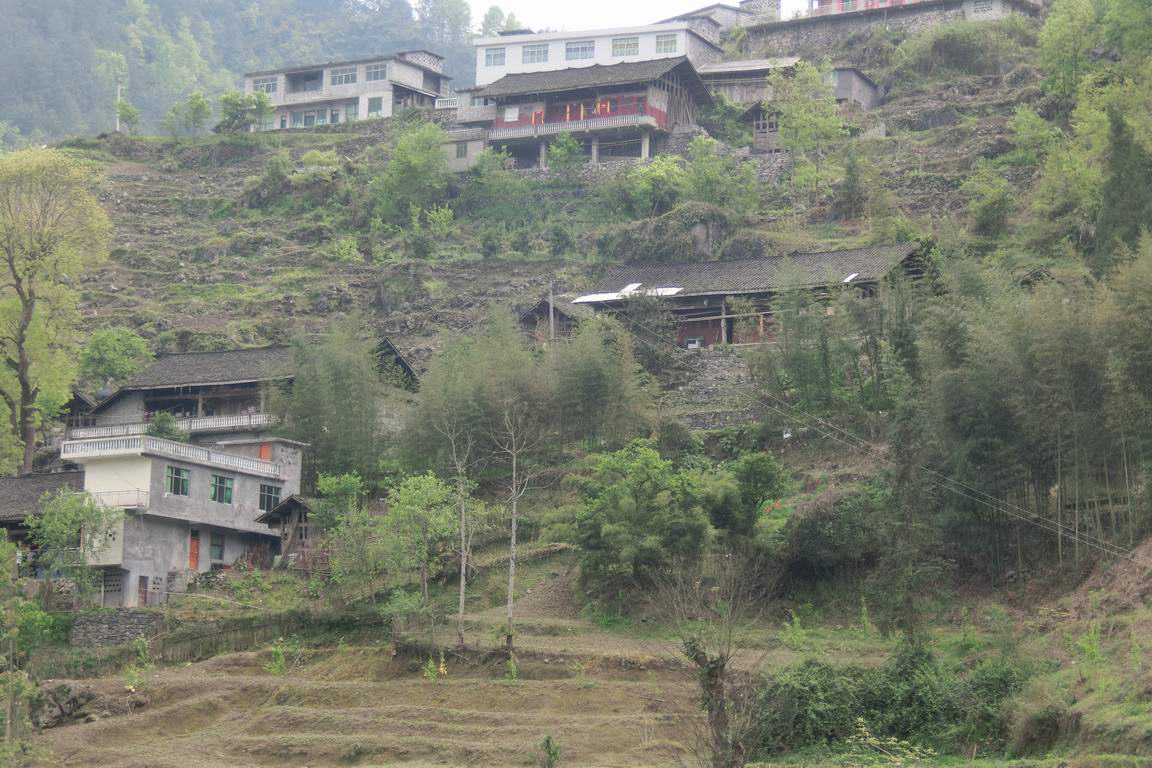 CIMG0679.JPG
