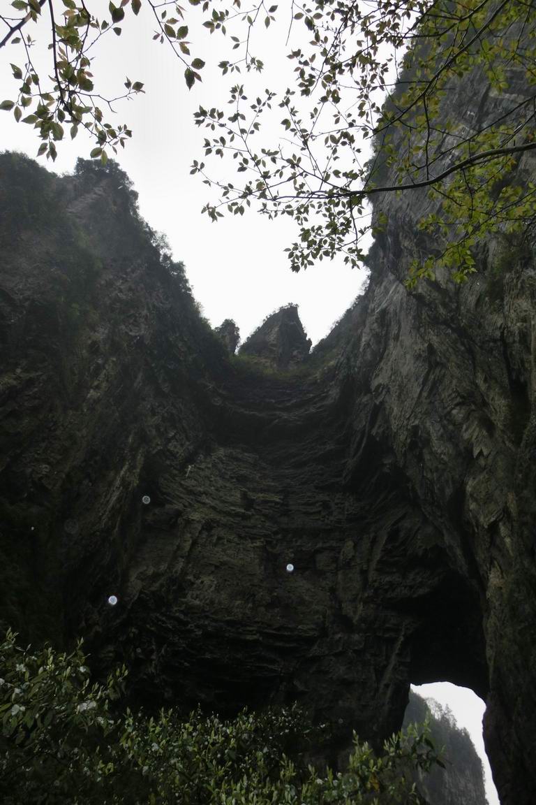 CIMG0313.JPG