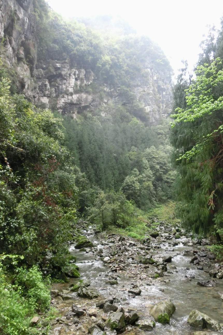 CIMG0341.JPG