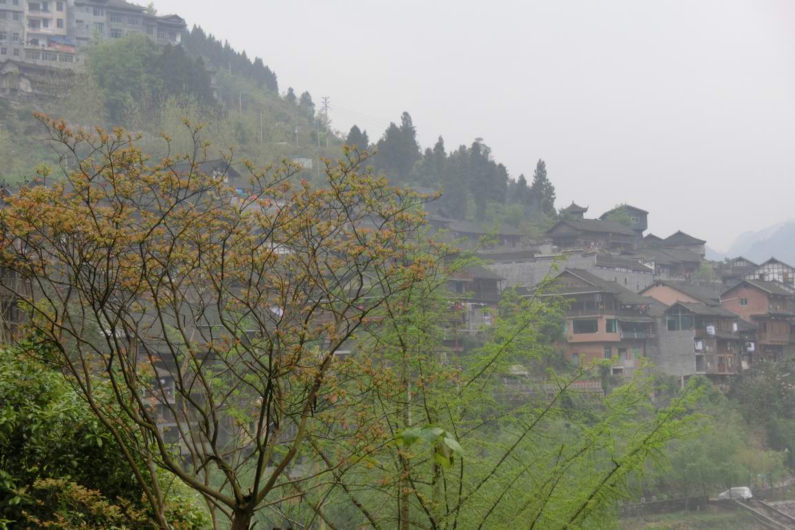 CIMG0617.JPG
