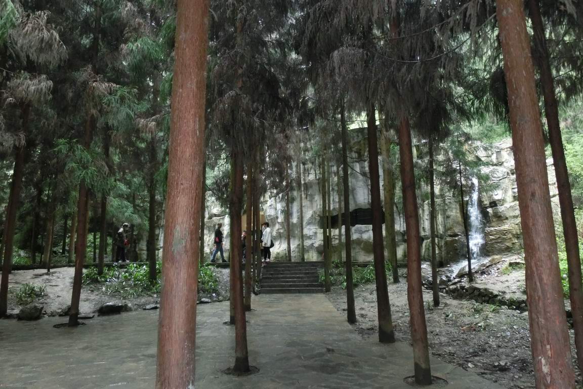 CIMG0340.JPG