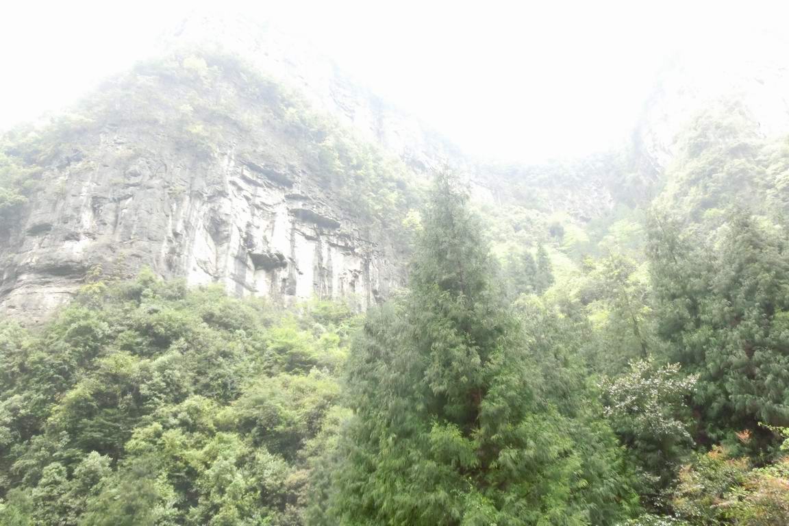 CIMG0332.JPG